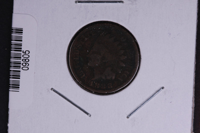 1888 Indian Head Small Cent.  Affordable Collectible Coin. Store