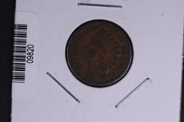 1891 Indian Head Small Cent.  Affordable Collectible Coin. Store # 09820