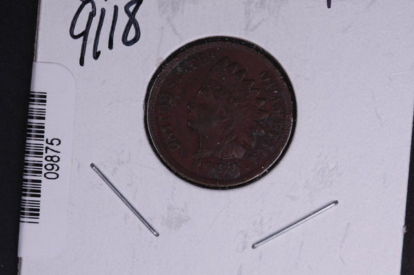 1900 Indian Head Small Cent.  Affordable Collectible Coin. Store # 09875
