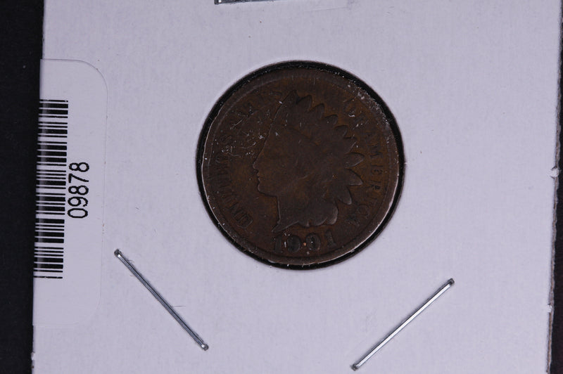 1901 Indian Head Small Cent.  Affordable Collectible Coin. Store