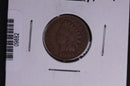 1901 Indian Head Small Cent.  Affordable Collectible Coin. Store