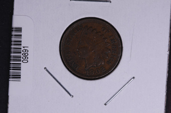 1902 Indian Head Small Cent.  Affordable Collectible Coin. Store # 09891