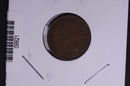 1907 Indian Head Small Cent.  Affordable Collectible Coin. Store