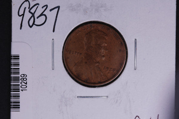 1920-D Lincoln Wheat Small Cent.  Affordable Collectible Coin. Store # 10289