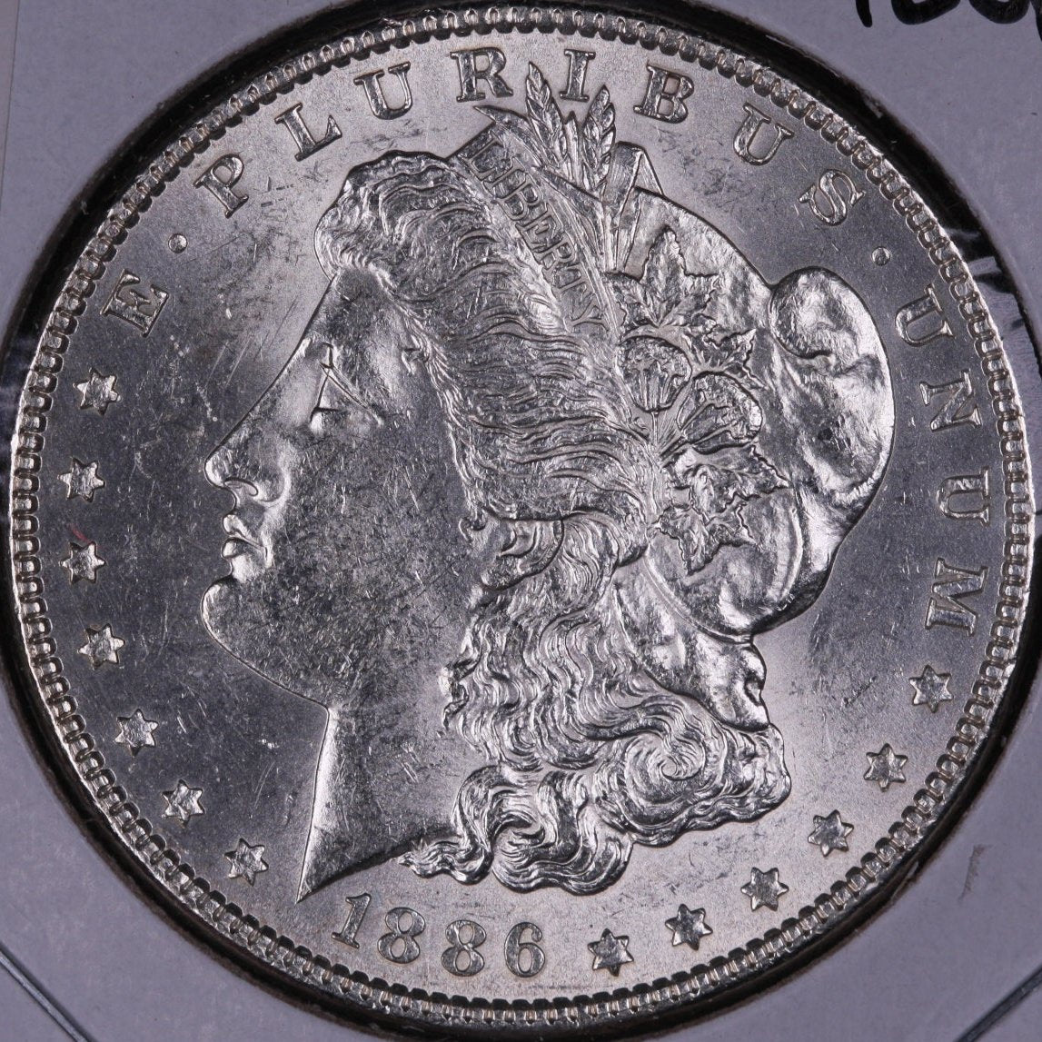 1886 Morgan Dollar, Mint State Uncirculated Coin, Store #DR0042