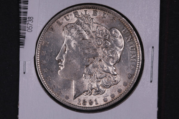 1891 Morgan Silver Dollar, Affordable Circulated Coin. Store #05738, 26, 34, 39.